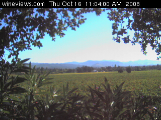 California webcam - Napa Valley